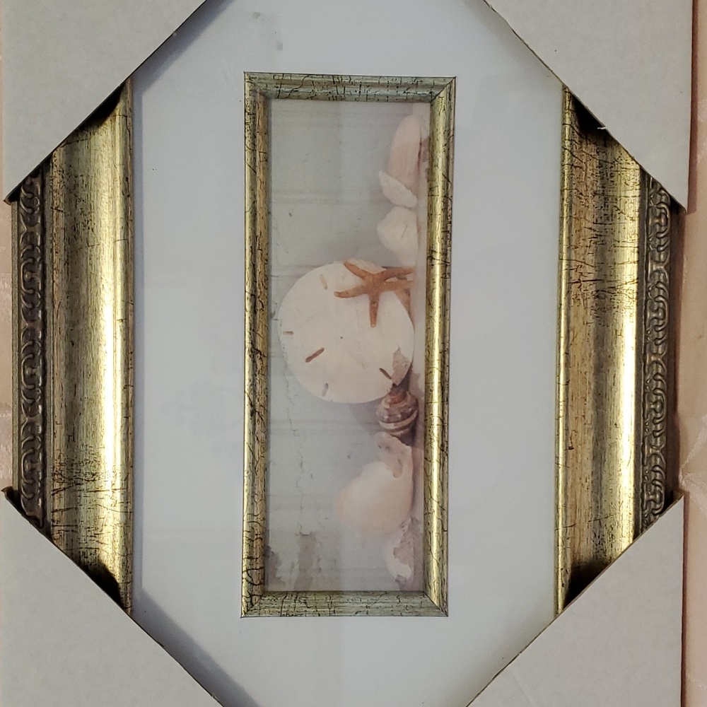 Nautical Ocean Sea Shell Picture